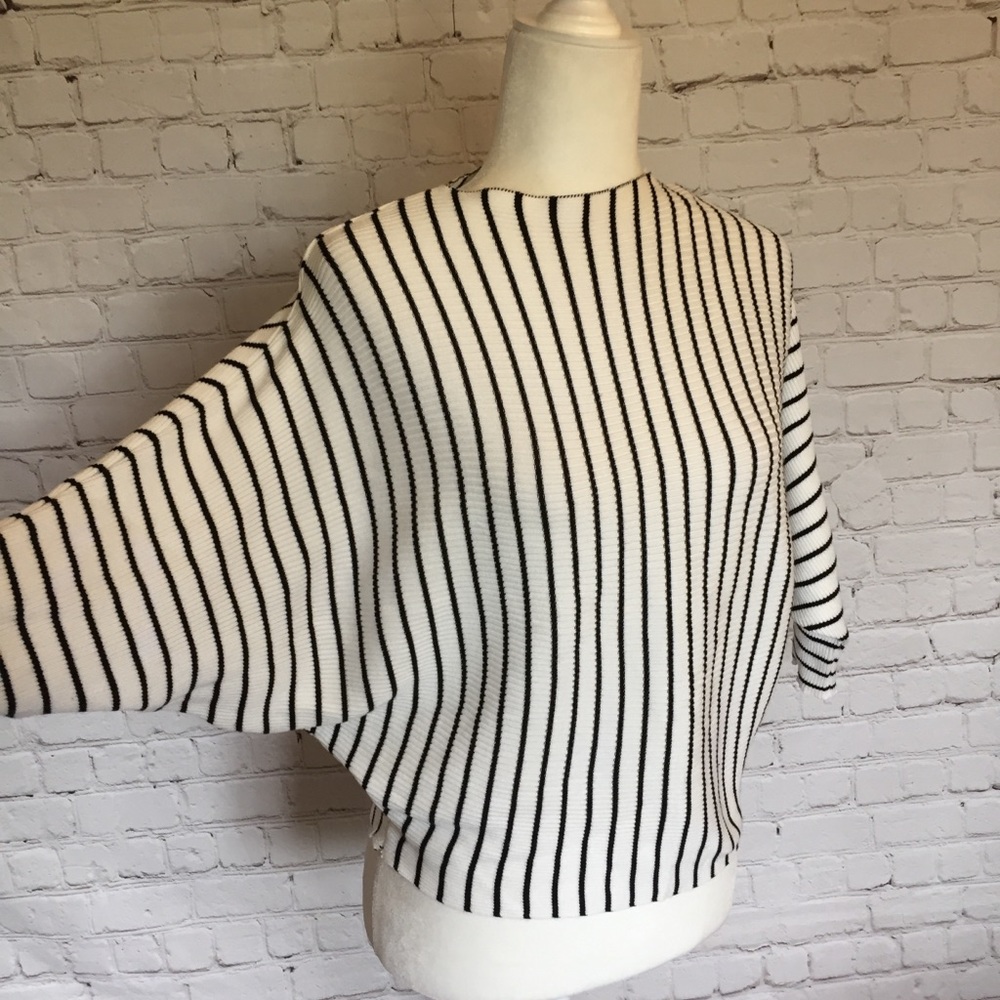 Stretchy Knit Bat Wing Sweater